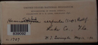 Image Associated With the Occurence